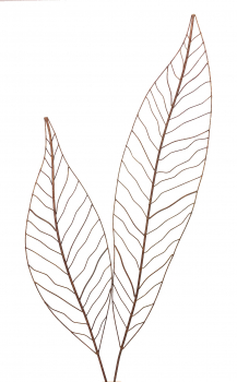 Gartenstecker Edelrost - Farn Set - Rankhilfe Gartendeko bestehend aus 2 Größen