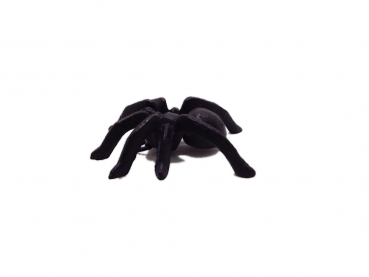 Spinne (Klein) - Dekofigur